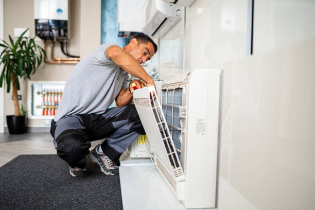 Best Professional Duct Cleaning Services  in Ovid, MI