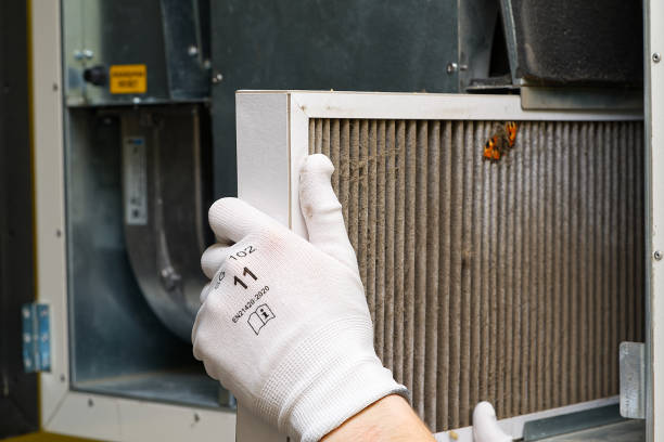Reliable Ovid, MI Airduct Cleaning Solutions