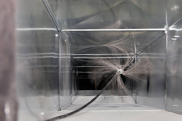 Best Professional Duct Cleaning Services  in Ovid, MI