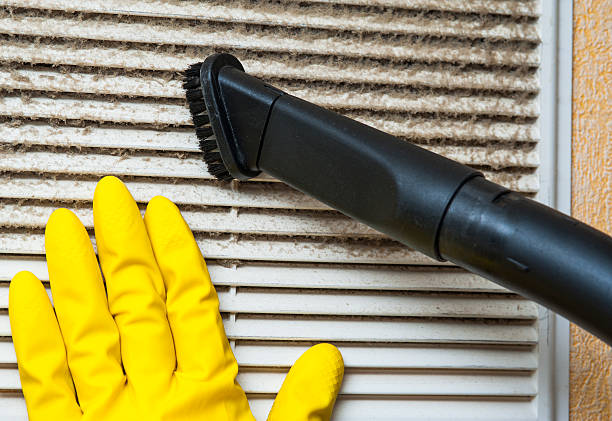 Best Residential Air Duct Cleaning  in Ovid, MI